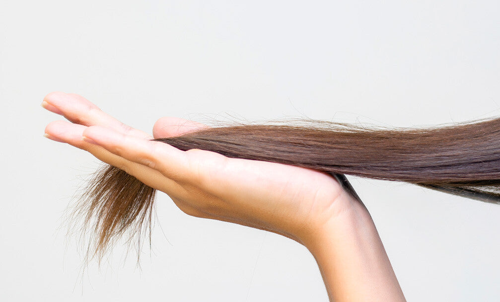 Conosci davvero i tuoi capelli?