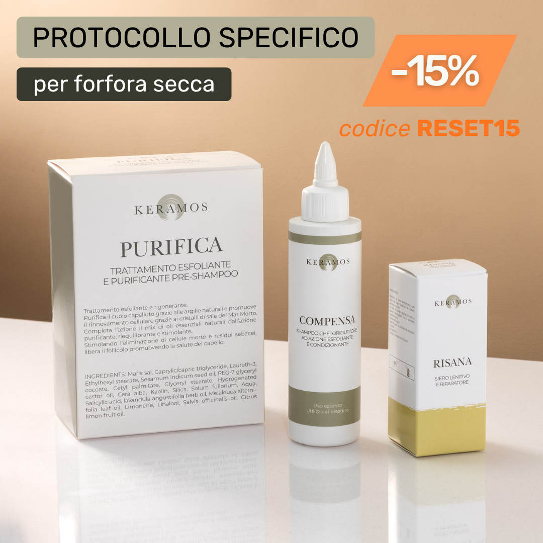 Protocollo Antiforfora