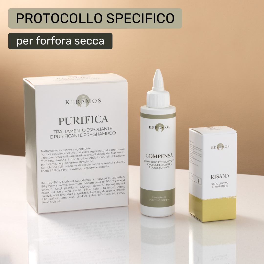 Protocollo Antiforfora